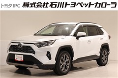 RAV4 G 4WD