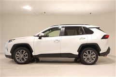 RAV4 G 4WD