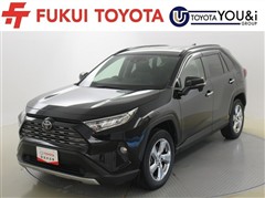 RAV4 G