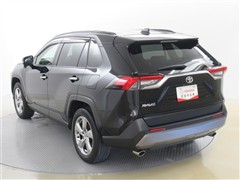 RAV4 G