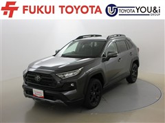 RAV4 アドベンチャー オフロート
