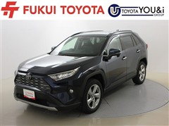 RAV4 G