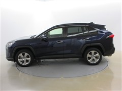 RAV4 G