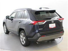 RAV4 G
