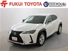 UX250h バージョンC