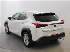 UX250h バージョンC