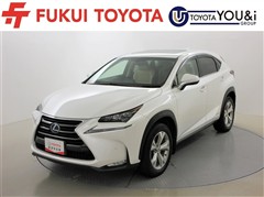 NX300h バージョンL