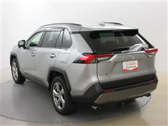 RAV4 G