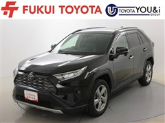 RAV4 G