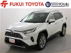 RAV4 G Zパッケージ