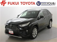 RAV4 G Zパッケージ