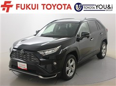 RAV4 G