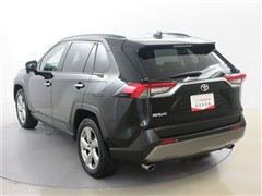 RAV4 G