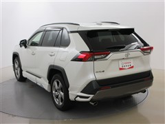 RAV4 G