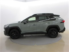 RAV4 アドベンチャー オフロート