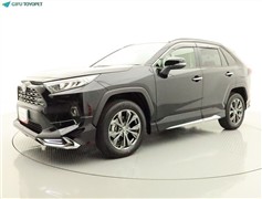 RAV4 G