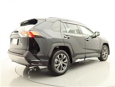 RAV4 G