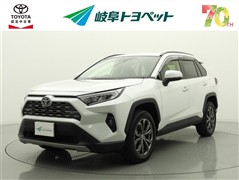RAV4 G