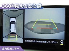 ライズ ハイブリッドZ