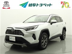 RAV4 G