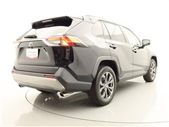 RAV4 G