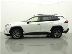 RAV4 G