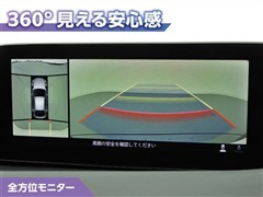 MAZDA3 FB 20S プロアク