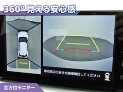 ライズ ハイブリッド Z