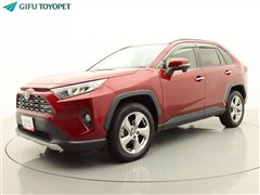 RAV4 G