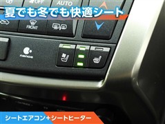 NX200t Fスポーツ