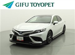 カムリ WS レザーパッケージ