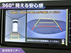 ムーヴキャンバスストライプスGt