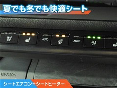 UX250h VersionL