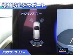 NX300h バージョンL