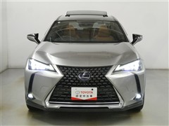 UX250h バージョンC