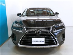 NX300 バージョン L