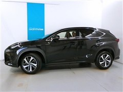 NX300 バージョン L