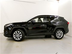 RAV4 G Zパッケージ