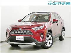 RAV4 G