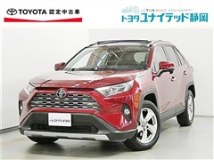 RAV4 G