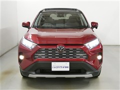 RAV4 G