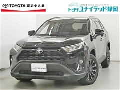 RAV4 X