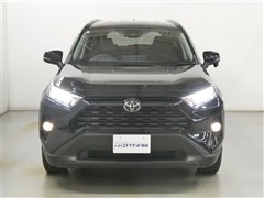 RAV4 X