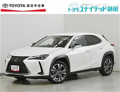 UX250h バージョンC