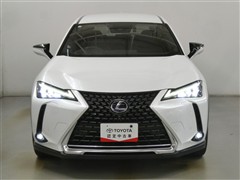 UX250h バージョンC