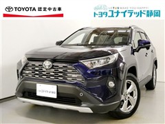 RAV4 G