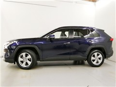 RAV4 G