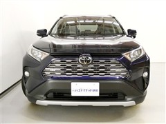 RAV4 G