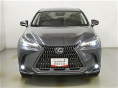 NX350h ヒョウジュン