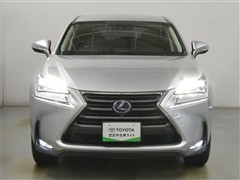 NX300h バージョンL